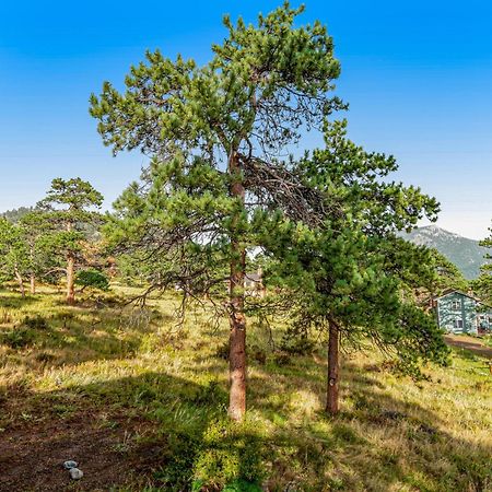 Deer Mountain Lodge South เอสเทสพาร์ค ภายนอก รูปภาพ